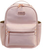 Blush Itzy Mini